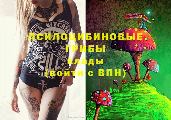 бошки Алзамай