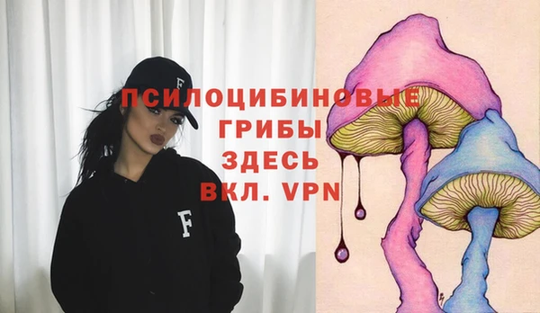 бошки Алзамай