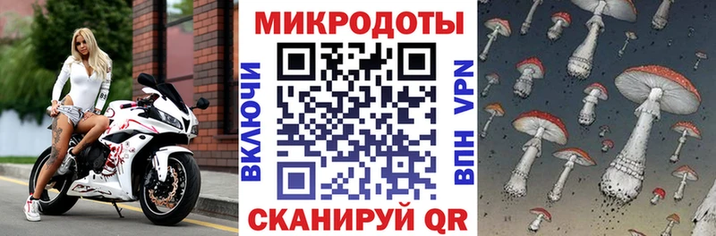 цены наркотик  Монино  Псилоцибиновые грибы MAGIC MUSHROOMS 